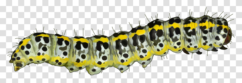 Caterpillar Mopane Worm Pest Educational Technology Caterpillar, Animal, Invertebrate, Insect, Cow Transparent Png