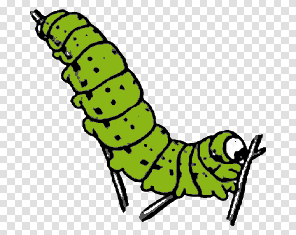 Caterpillar Photo Background Caterpillar Clipart, Animal, Worm, Invertebrate, Dog Transparent Png