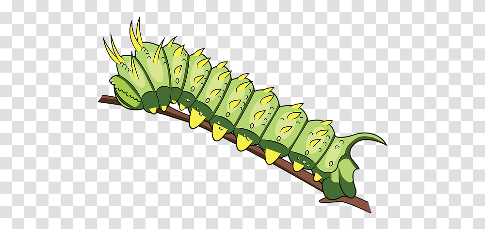 Caterpillar, Plant, Spiral, Coil Transparent Png