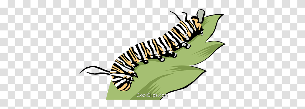 Caterpillar Royalty Free Vector Clip Art Illustration, Animal, Worm, Invertebrate, Tiger Transparent Png