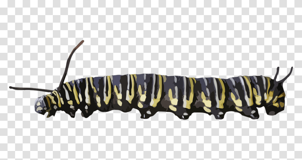 Caterpillar Yellow Black, Animal, Invertebrate, Mammal, Polo Transparent Png