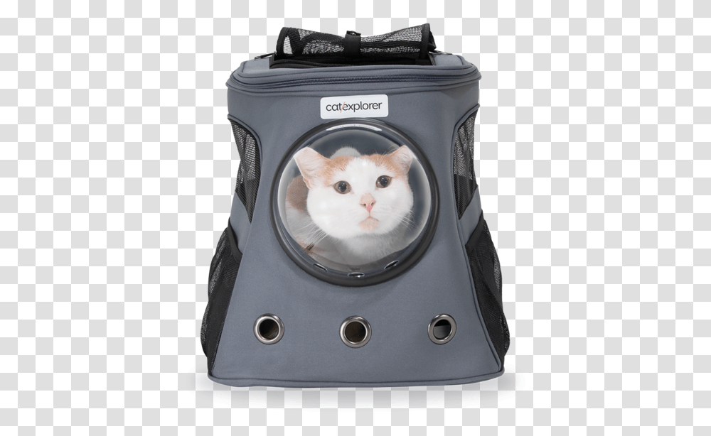 Catexplorer 1 May 19 0201, Pet, Mammal, Animal, Appliance Transparent Png