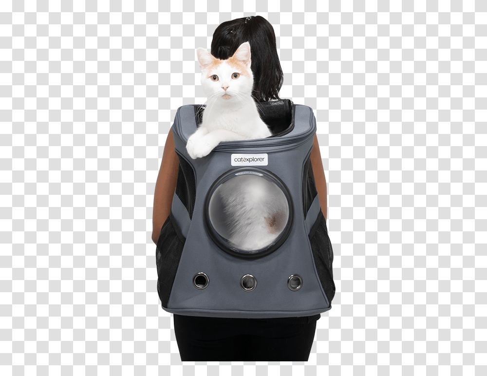 Catexplorer 1 May 19 0290 1200px Domestic Short Haired Cat, Appliance, Mammal, Animal, Pet Transparent Png
