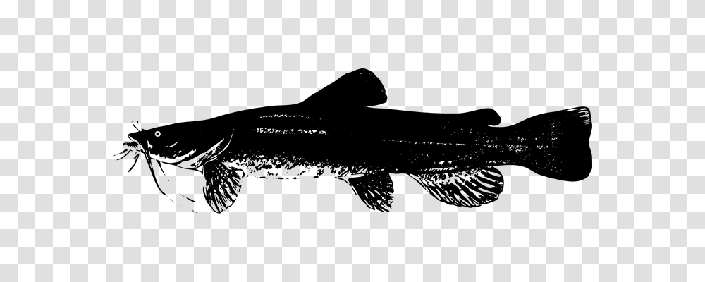 Catfish Animals, Gray, World Of Warcraft Transparent Png