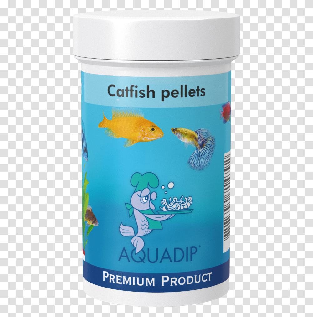Catfish, Animal, Sea Life, Goldfish Transparent Png