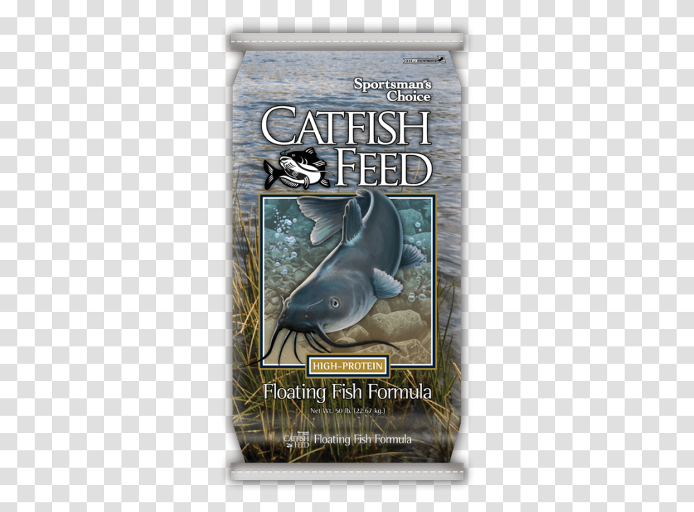 Catfish, Animal, Sea Life, Mammal, Poster Transparent Png