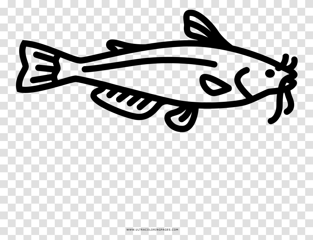 Catfish Coloring Page, Gray, World Of Warcraft Transparent Png