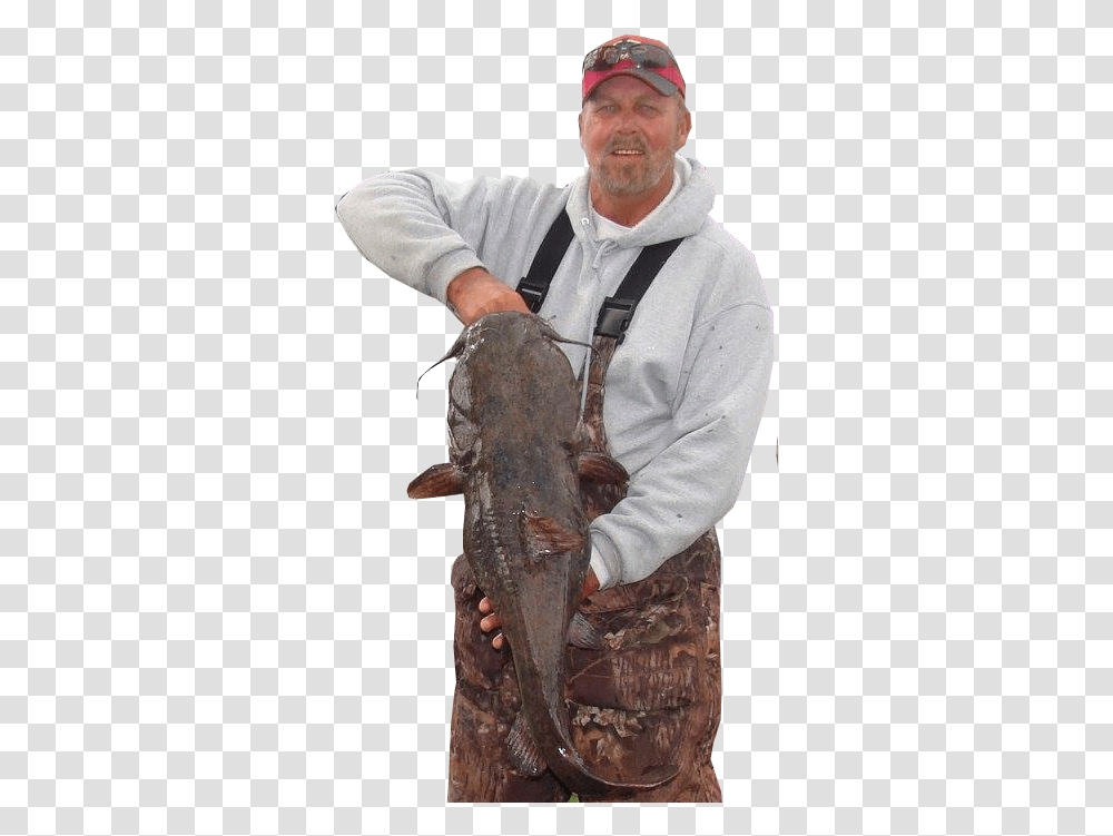Catfish Conference, Person, Animal, Seafood, Sea Life Transparent Png
