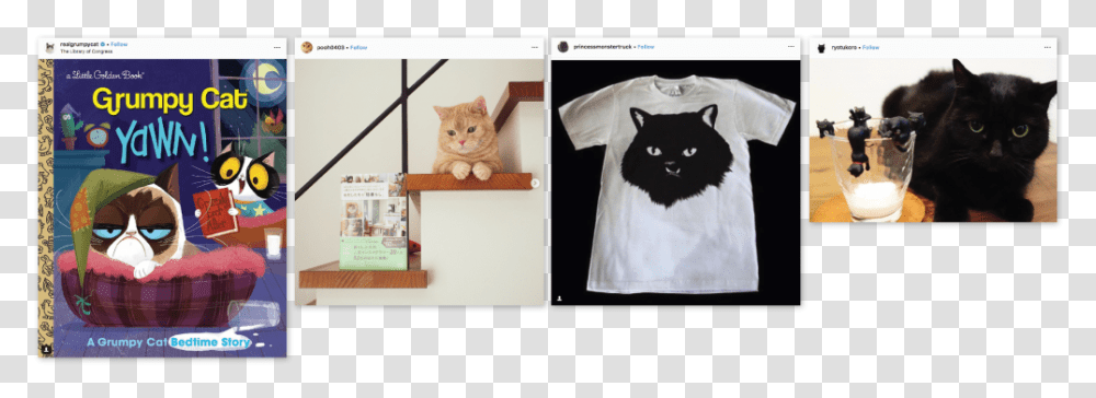 Catfulencers Sponsored Posts Own Merch Domestic Short Haired Cat, Apparel, Pet, Mammal Transparent Png