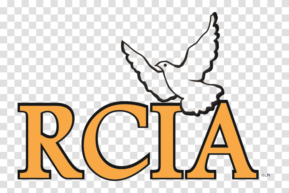 Catholic Rcia Clip Art Free Image, Logo, Nature Transparent Png