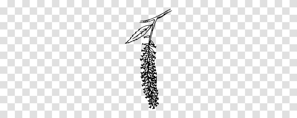 Catkin Nature, Gray, World Of Warcraft Transparent Png