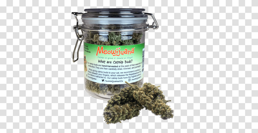 Catnip Buds Meowijuana Catnip, Plant, Jar, Mixer, Vase Transparent Png