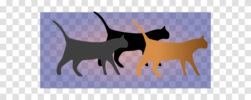 Cats Nature, Mammal, Animal Transparent Png