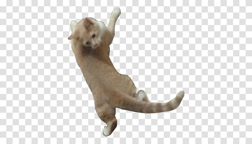 Cats Hanging Dog Catches Something, Figurine, Mammal, Animal, Finger Transparent Png