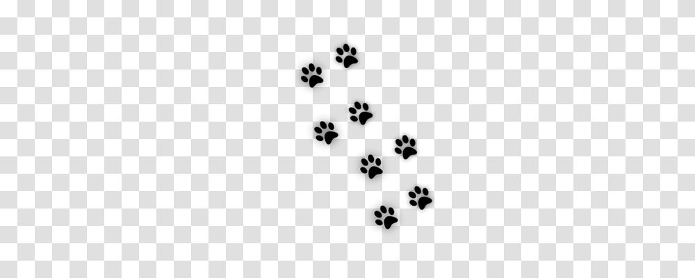 Cats Paw Animals, Gray, World Of Warcraft Transparent Png