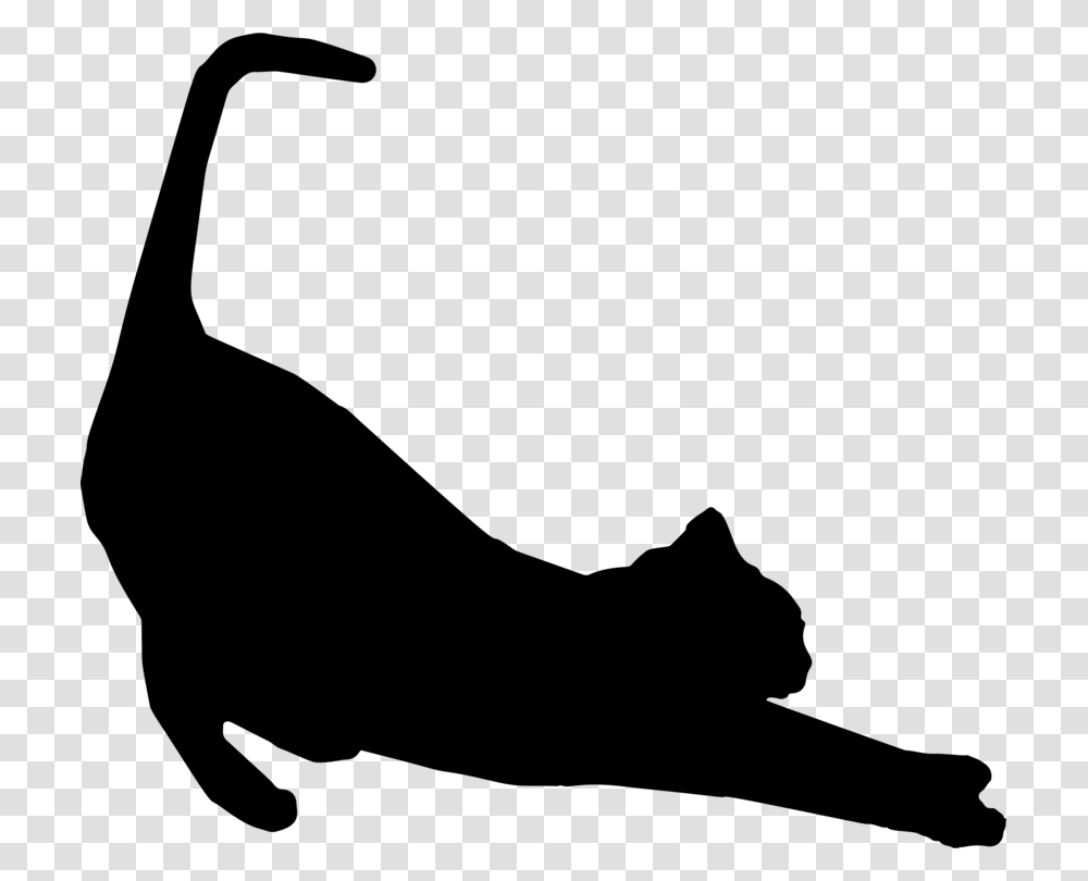Cats Protection Silhouette Kitten Stretching, Gray, World Of Warcraft Transparent Png