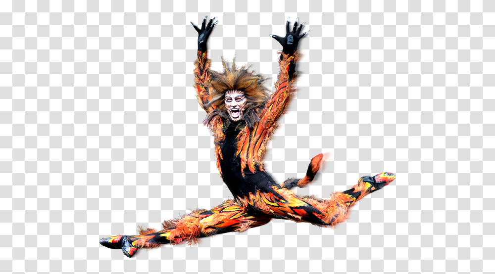 Cats The Musical, Performer, Leisure Activities, Crowd, Dance Pose Transparent Png