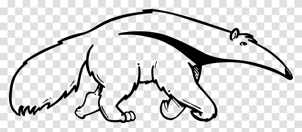 Cats Vector Cat Outline Anteater Black And White, Bow, Wildlife, Animal, Mammal Transparent Png