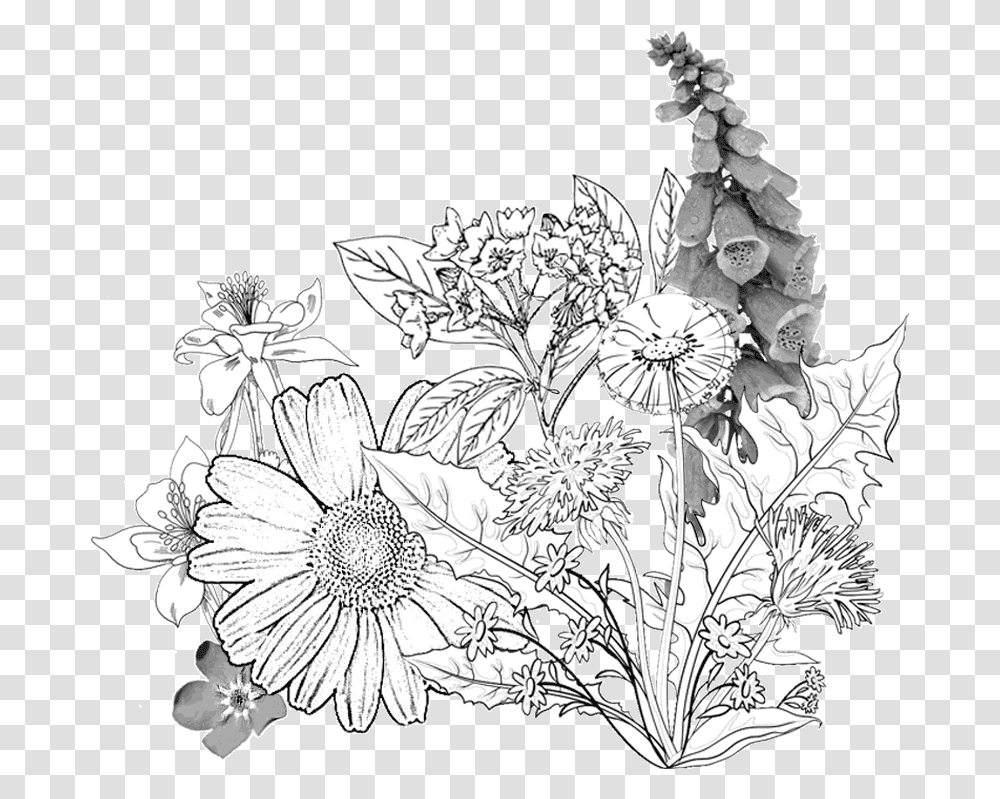 Catskills Custom Papercut Ketubah Flower Sketch, Graphics, Art, Floral Design, Pattern Transparent Png