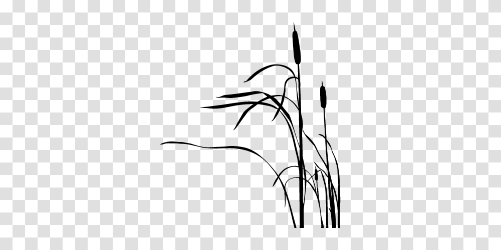 Cattail Silhouette Tatoo Ideas Tattoos Silhouette, Grass, Plant, Lawn, Reed Transparent Png