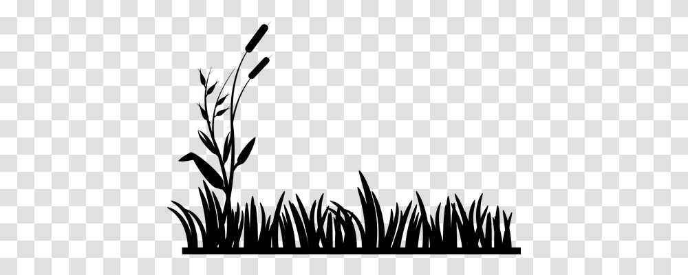Cattails Nature, Gray, World Of Warcraft Transparent Png