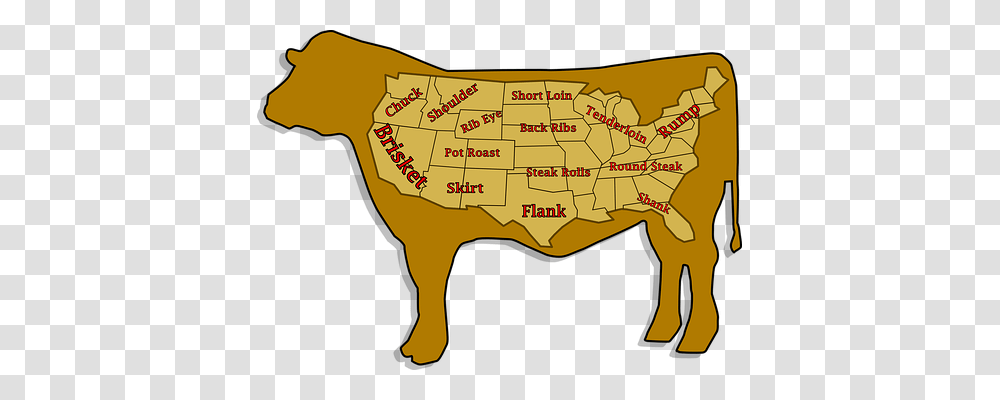 Cattle Food, Plot, Diagram, Mammal Transparent Png