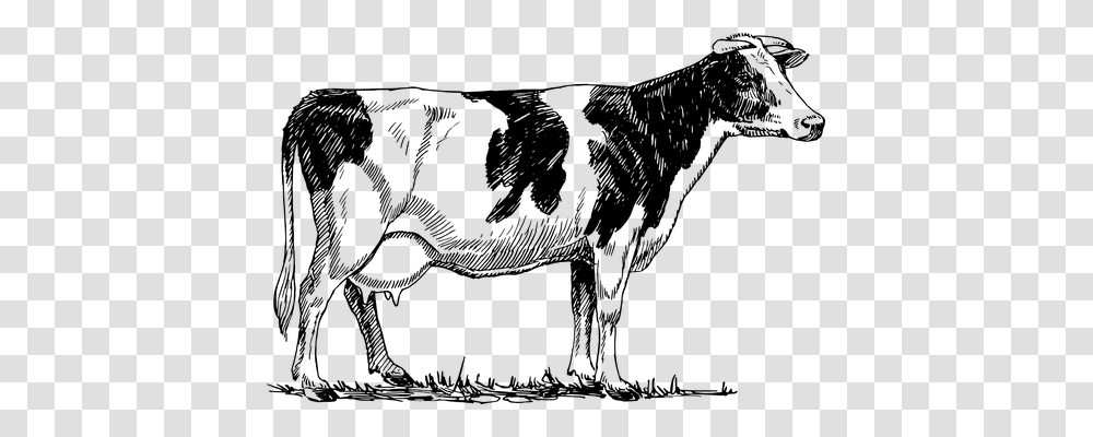 Cattle Technology, Gray, World Of Warcraft Transparent Png