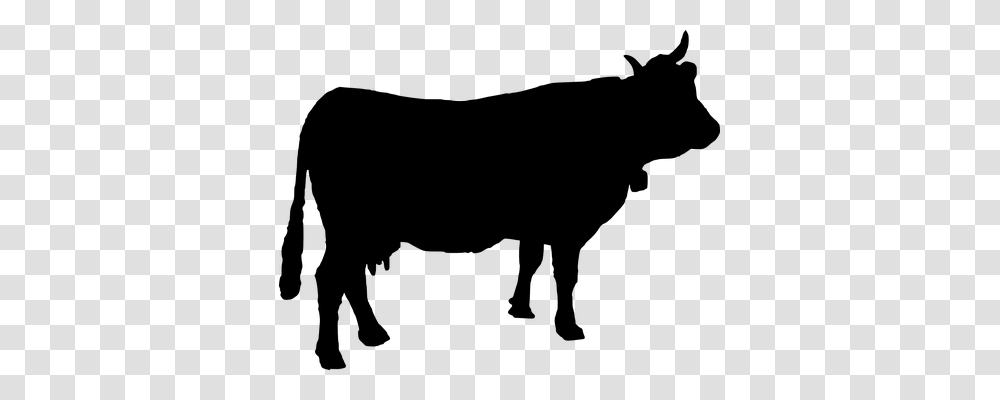 Cattle Animals, Gray, World Of Warcraft Transparent Png