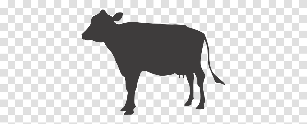 Cattle Animal Track Cows Vector Download 512512 Cow Vector, Mammal, Person, Human, Bull Transparent Png