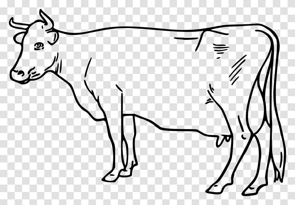Cattle Clip Art White Cow Outline Clipart, Gray, World Of Warcraft Transparent Png