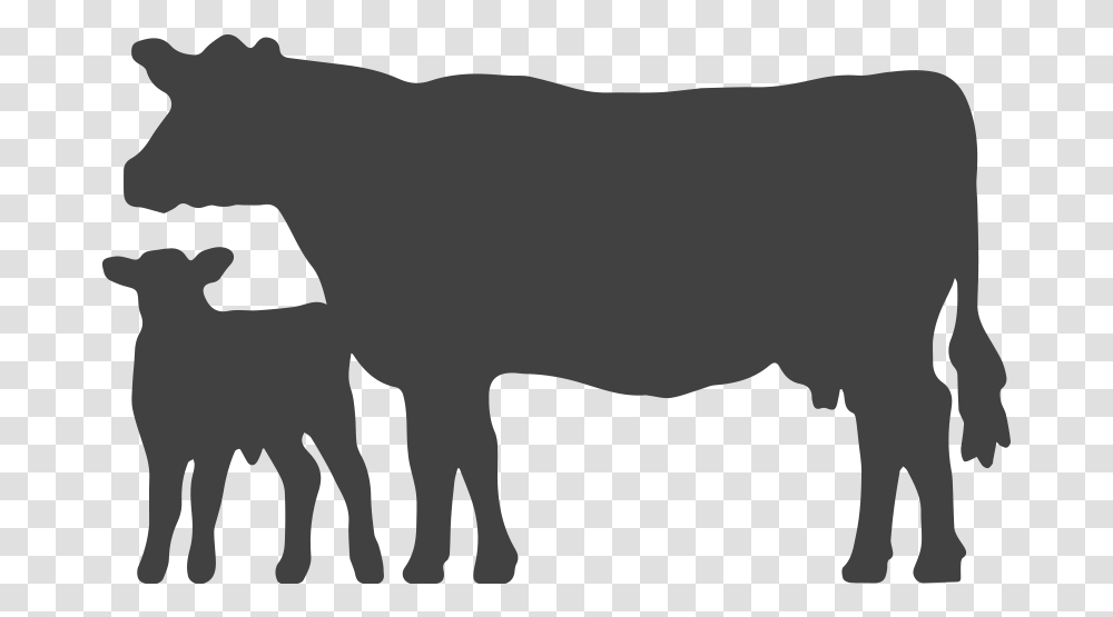 Cattle Clipart Angus Cow, Bull, Mammal, Animal, Silhouette Transparent Png