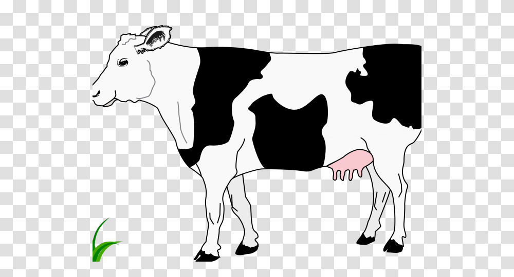 Cattle Clipart Charolais, Silhouette, Stencil, Person, Mammal Transparent Png