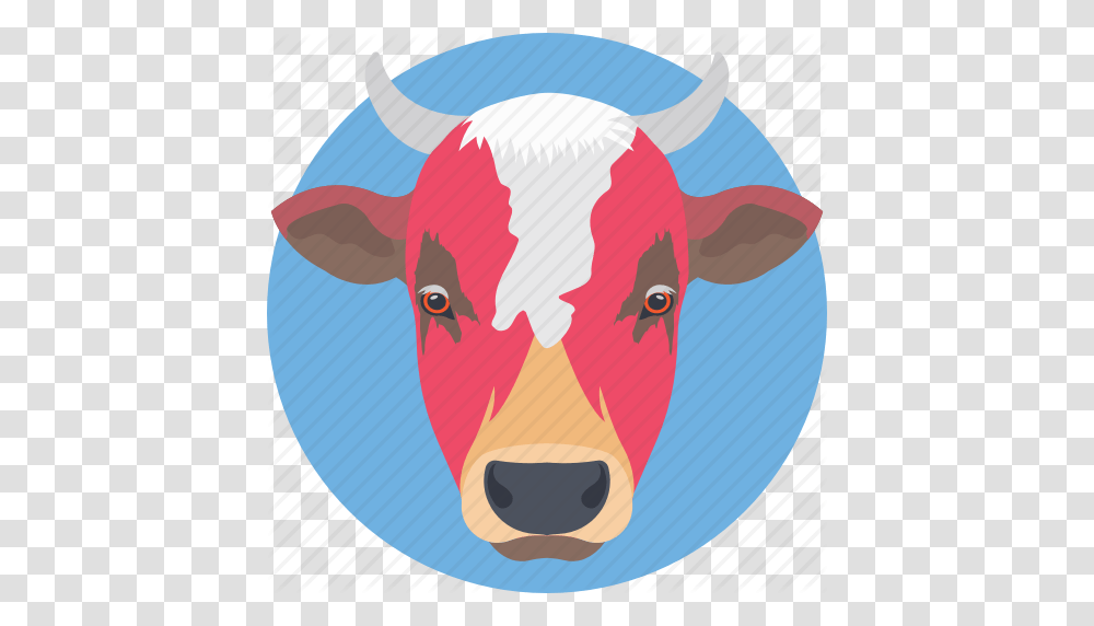 Cattle Cow Cow Face Cow Head Mammal Icon, Pig, Animal, Hog, Flag Transparent Png