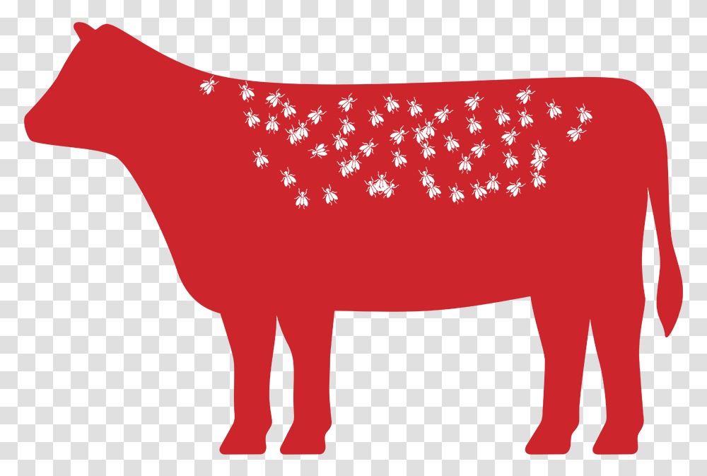 Cattle Fly Control Resource Center Purina Animal Nutrition Animal Figure, Bull, Mammal, Buffalo, Wildlife Transparent Png