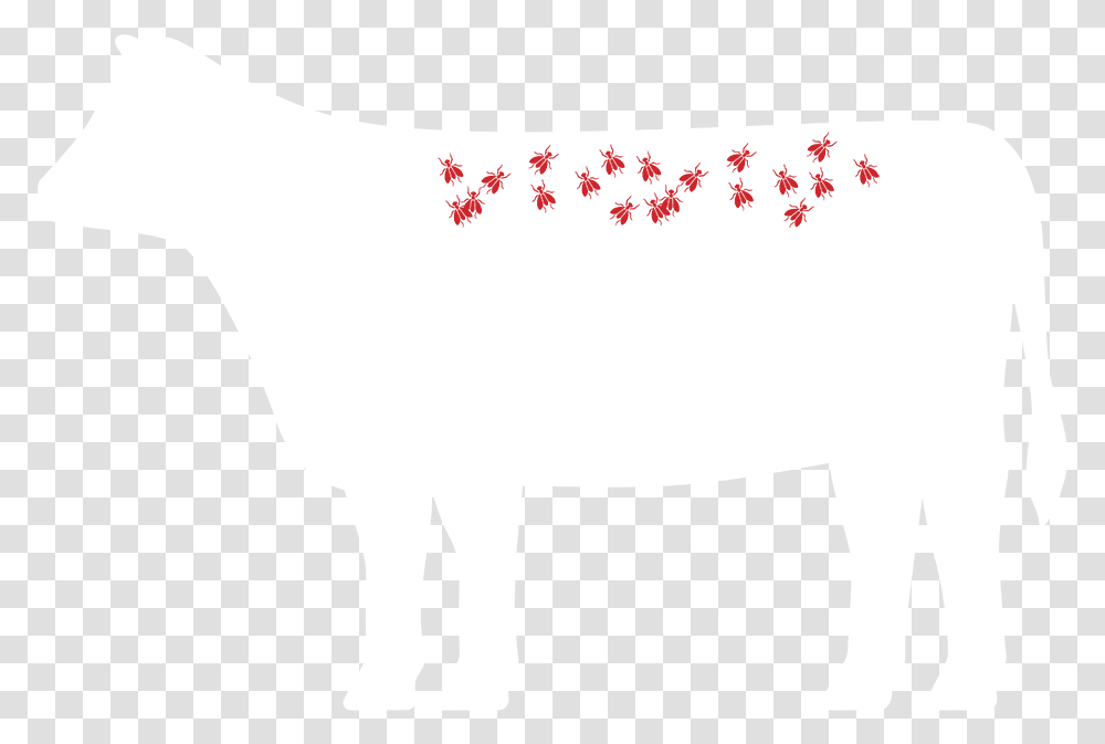 Cattle Fly Control Resource Center Purina Animal Nutrition Animal Figure, Mammal, Bull, Goat, Horse Transparent Png