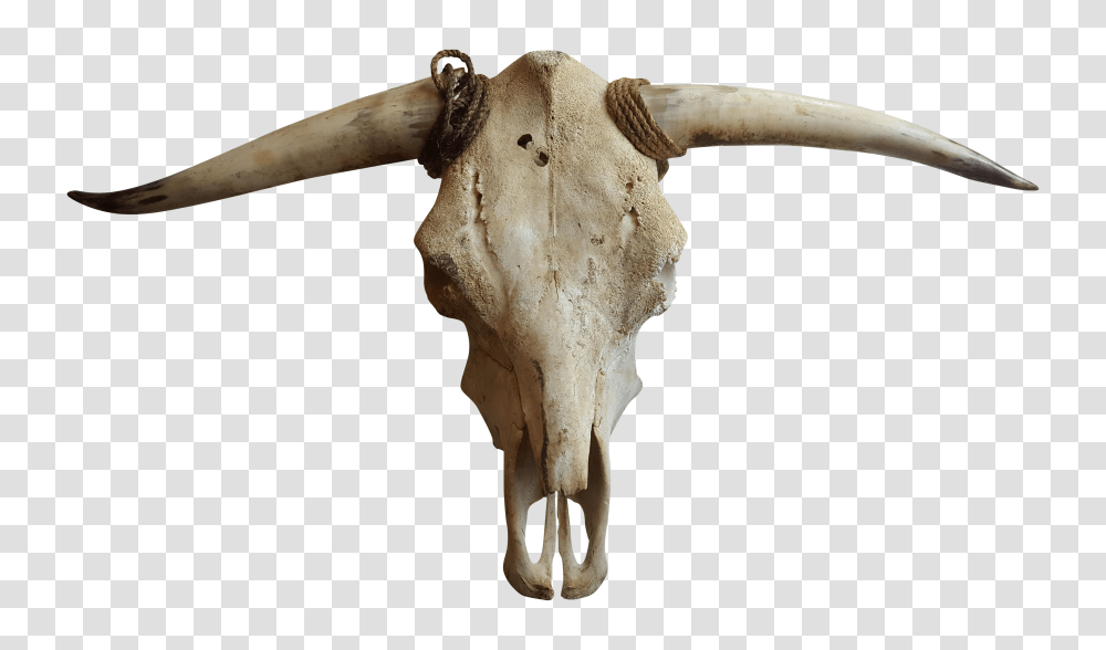 Cattle Goat Horn Bone, Longhorn, Mammal, Animal, Axe Transparent Png