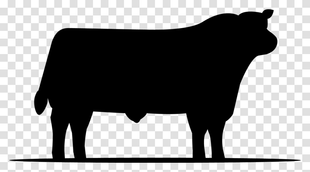 Cattle, Gray, World Of Warcraft Transparent Png