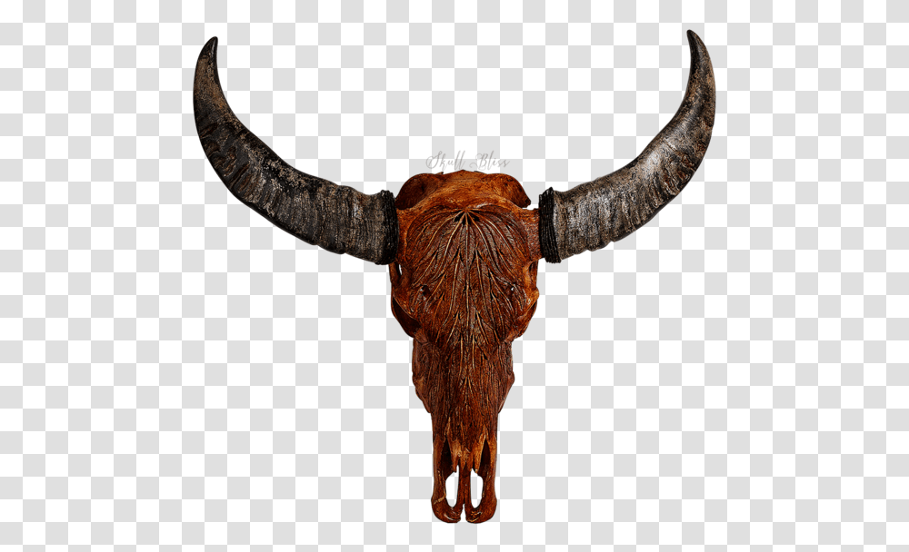 Cattle Horn Animal Skulls Bison Horn, Longhorn, Mammal, Bull, Axe Transparent Png