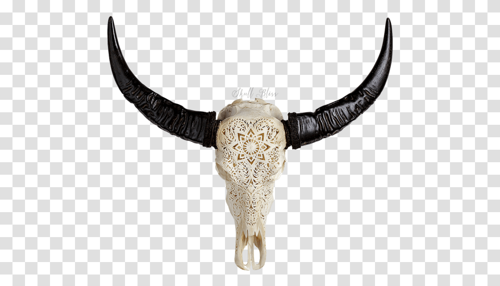 Cattle Horn Animal Skulls Water Buffalo Engraved Buffalo Skull, Ivory, Cross, Antler Transparent Png
