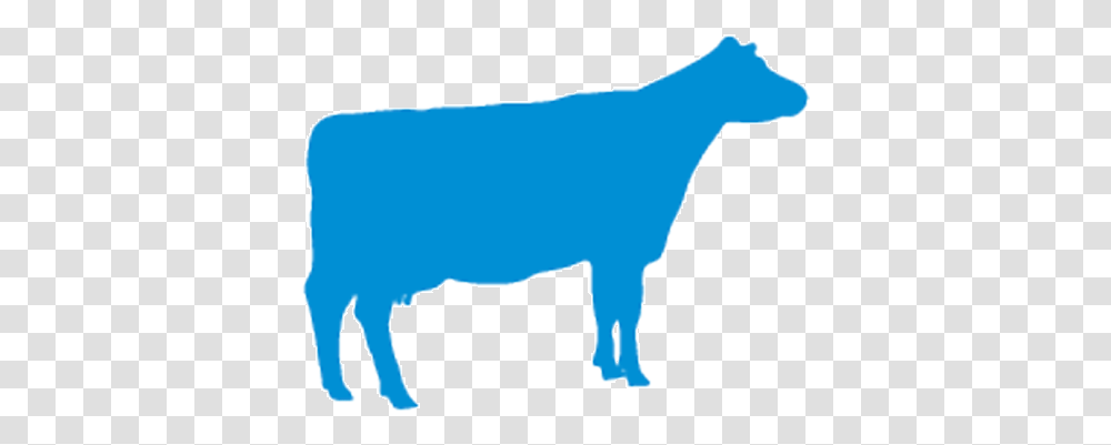 Cattle, Mammal, Animal, Axe, Tool Transparent Png