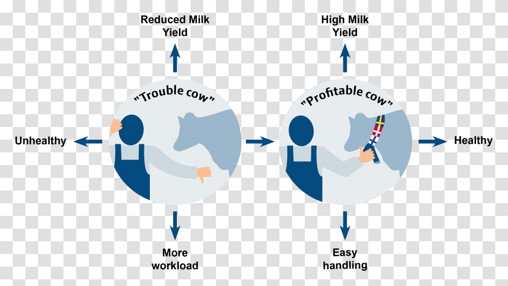 Cattle Milk Production Diagram, Outer Space, Astronomy, Universe, Sphere Transparent Png