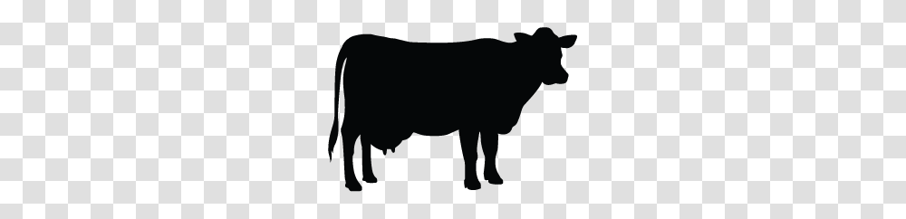Cattle Vector Silhouette For Free Download On Ya Webdesign, Bull, Mammal, Animal, Angus Transparent Png
