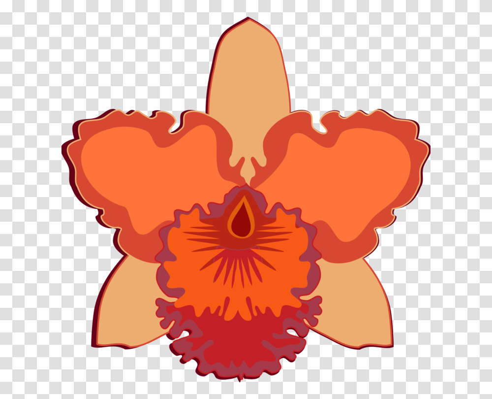 Cattleya Orchids Flowering Plant Moth Orchids Cut Flowers Free, Blossom, Hibiscus, Petal, Anther Transparent Png