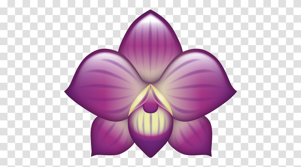 Cattleya, Plant, Purple, Flower, Blossom Transparent Png