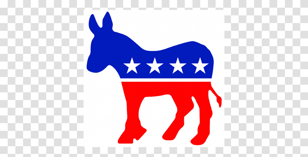 Caucus For All New Canaan Democrats This Tuesday New Canaan, Cow, Mammal, Animal Transparent Png