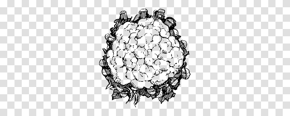 Cauliflower Nature, Gray, World Of Warcraft Transparent Png