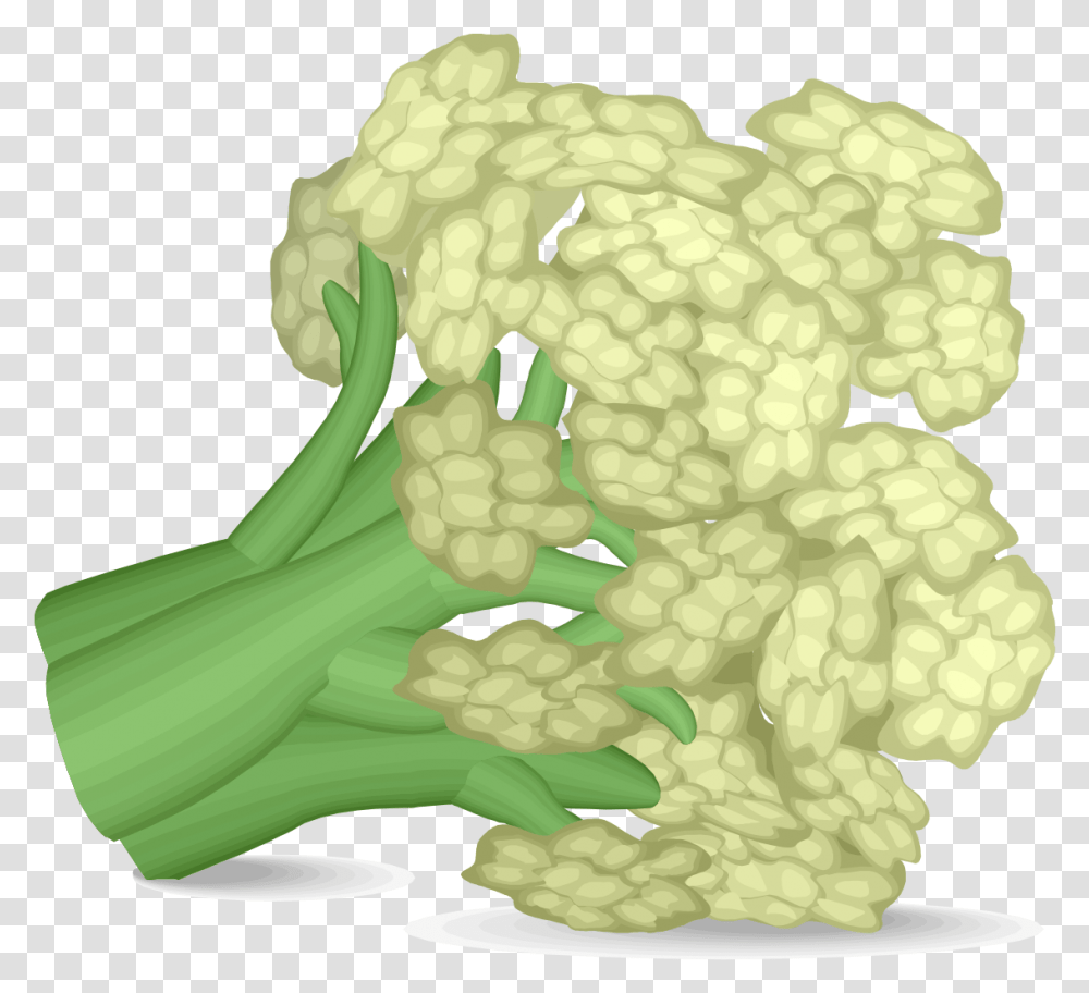 Cauliflower Califlour Clipart, Plant, Vegetable, Food, Birthday Cake Transparent Png