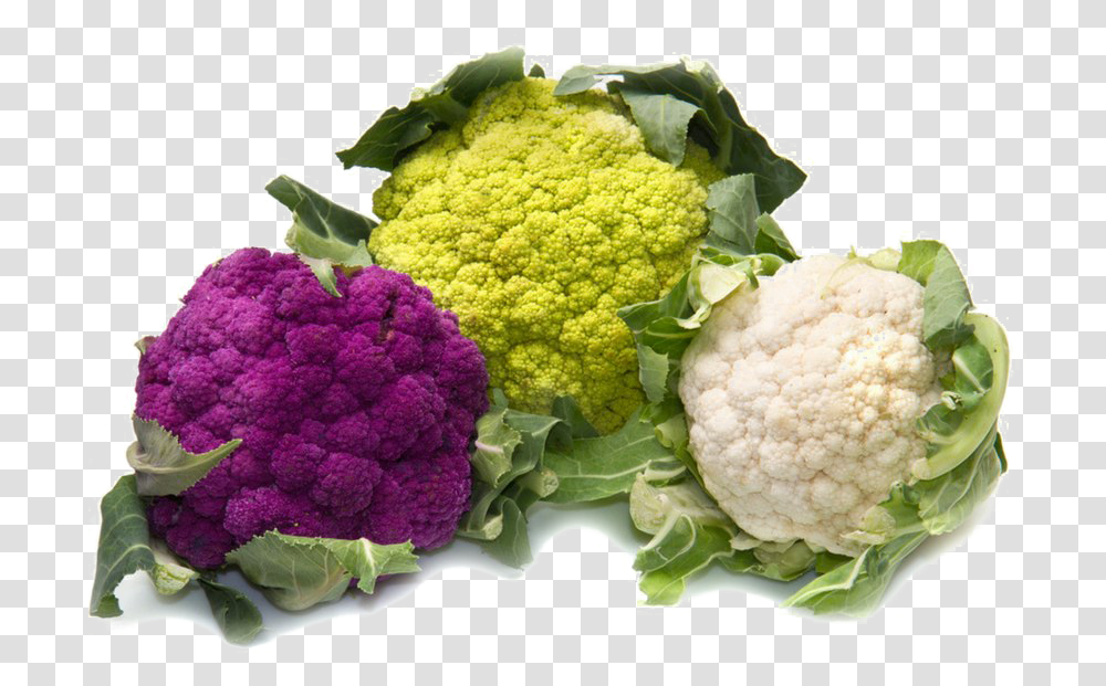 Cauliflower Clipart Types Of Cauliflower And Broccoli, Plant, Vegetable, Food, Ice Cream Transparent Png