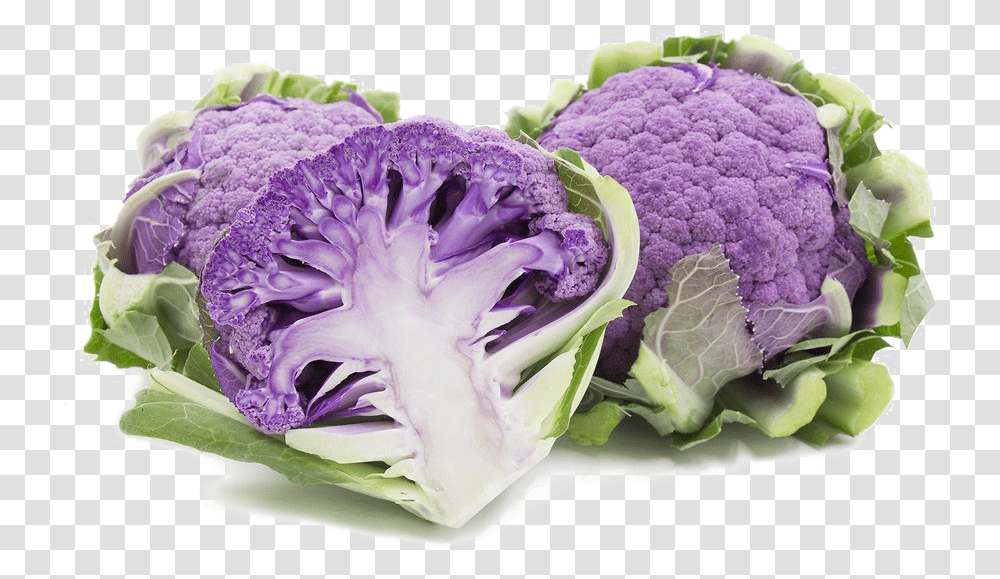 Cauliflower Hd Quality Cauliflower Di Sicilia Violetto, Plant, Vegetable, Food, Rose Transparent Png