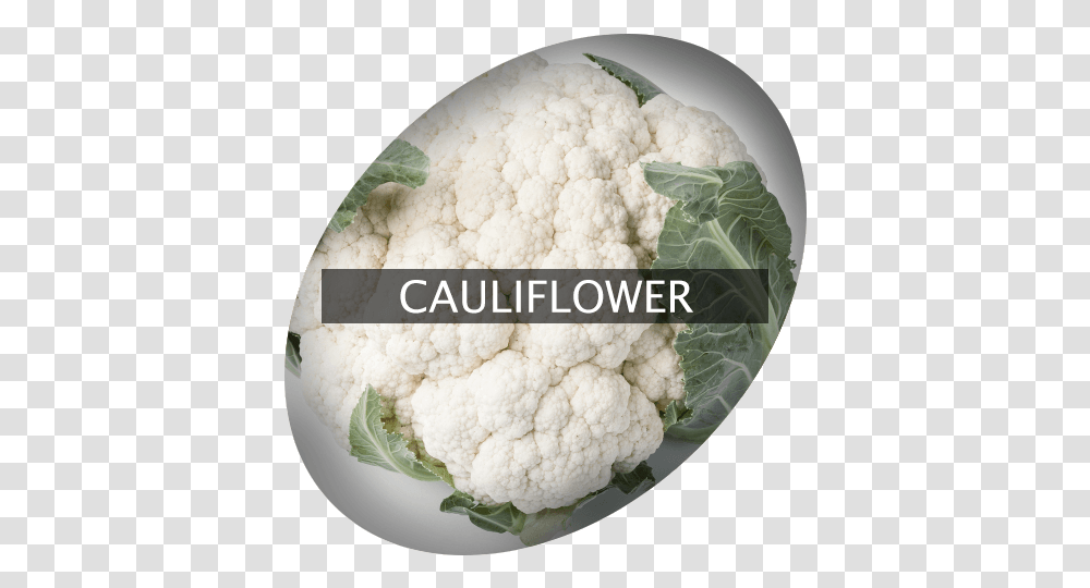 Cauliflower Indigrowcom Cauliflower, Plant, Vegetable, Food Transparent Png